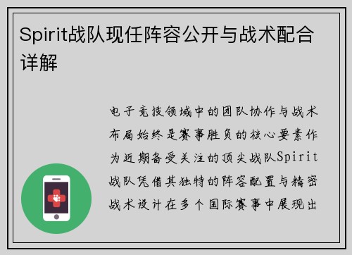 Spirit战队现任阵容公开与战术配合详解